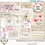 Stronger Than the Storm Bundle