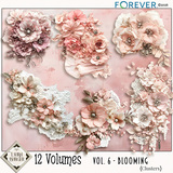 12 Volumes - Vol 6 - Blooming Mega Bundle