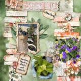 12 Volumes - Vol 6 - Blooming Mega Bundle