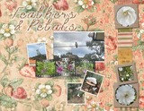 Art Collective 02 - Templates