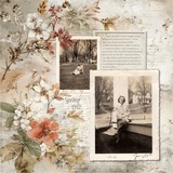 Clustered Border Backgrounds Set11