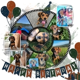 The Birthday Files - Stamps