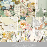 Chippy Artistry Scrapbook Bundle