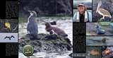 Travel Notes - Watery Wonders