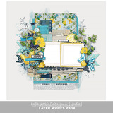Layer Works 2309