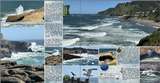 Travel Notes - Brine & Breeze