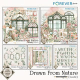 Drawn by Nature Bundle