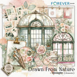 Drawn by Nature Bundle