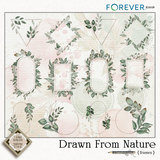 Drawn by Nature Bundle