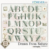 Drawn by Nature Bundle