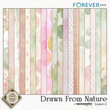 Drawn by Nature Bundle