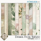 Drawn by Nature Bundle
