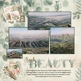 Drawn by Nature Bundle