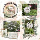 Drawn by Nature Bundle