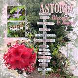 Artist's Toolbox - Floral Fantasy Creative Collection