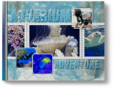 Artistic License Creative Covers 01 Bundle