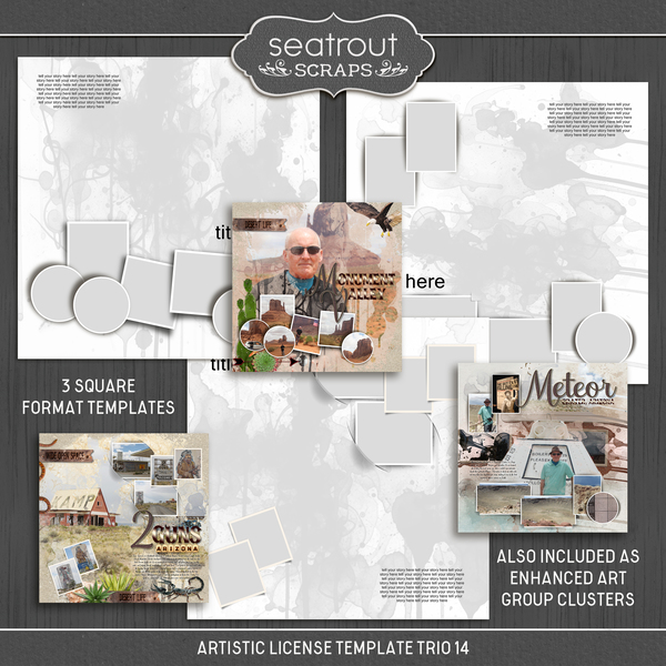 Artistic License Template Trio 14 Digital Art - Digital Scrapbooking Kits