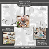 Artistic License Template Trio 14
