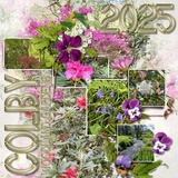 ClusterMania - Cottage Garden