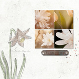 Budding Romance Page Pak