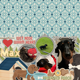 A Dogs Life Collection