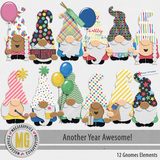 Another Year Awesome Enhanced Photo Clusters & Gnomes
