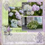 Everything Layers- Simple Pages, Meaningful Stories Set 3