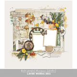 Layer Works 2511