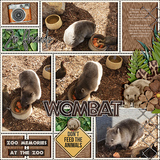 Stamped Pocket Templates Bundle