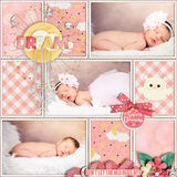 Stamped Pocket Templates Bundle