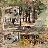 Artistic License Template Trio 13