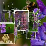 ClusterMania - Cottage Garden