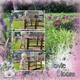 ClusterMania - Cottage Garden