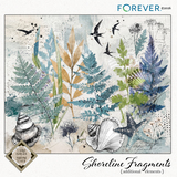 Shoreline Fragments Bundle