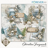 Shoreline Fragments Bundle