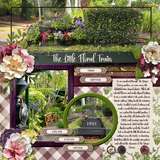 Trios Templates1