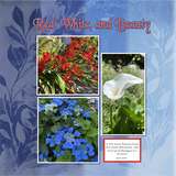 Pattern Potluck - Red, White, & Blue Bundle
