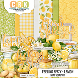 Feeling Zesty Mini Kit