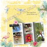 Tropical Party