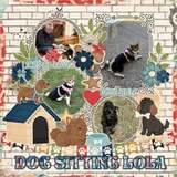 A Dogs Life Collection