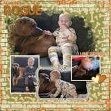 A Dogs Life Collection