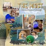 Seatrout Scraps Treasure Trove 02