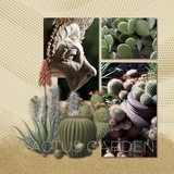 Punched Papers & Easy Masks Bundle 4