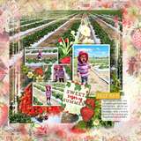 In the Food Tent - Decorative Splats Bundle