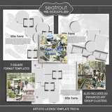 Artistic License Template Trio 16