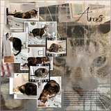 Artistic License Template Trio 16