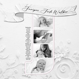 Paper Duo Floral Plaster