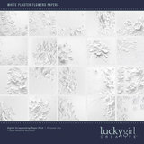 Paper Duo Floral Plaster