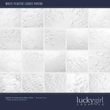 Paper Duo Floral Plaster