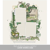 Layer Works 2186